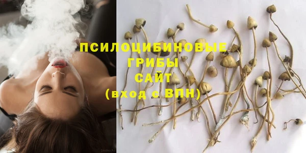 сатива Алексеевка