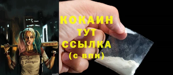 крисы Алзамай
