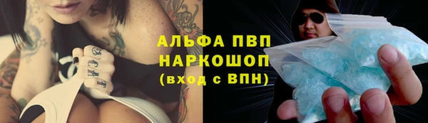 сатива Алексеевка