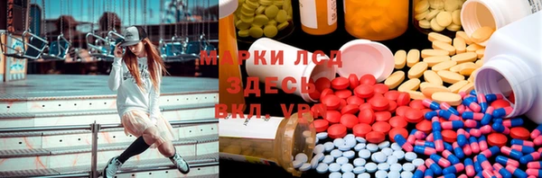 крисы Алзамай