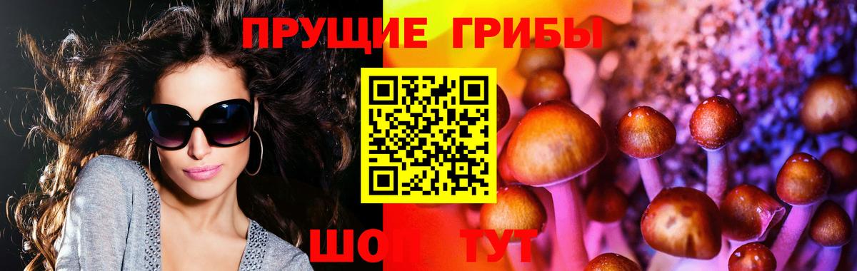Петропавловск-Камчатский  Галлюциногенные грибы Magic Shrooms  Вход с VPN  Галлюциногенные грибы прущие грибы 