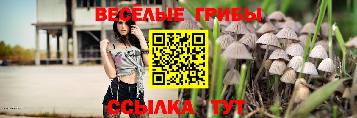 Галлюциногенные грибы Psilocybe Петропавловск-Камчатский